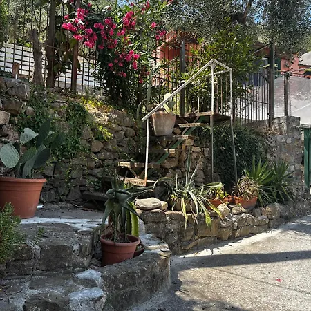 بيت للعطل Febe's House *